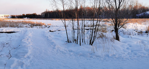 Photo of Laurier Woods Conservation Area - Brule St, North Bay, ON P1A 3Z5